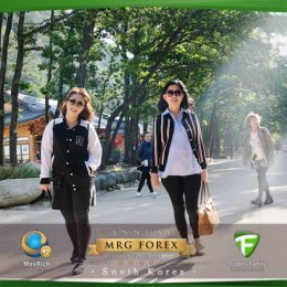 mrg-korea-40