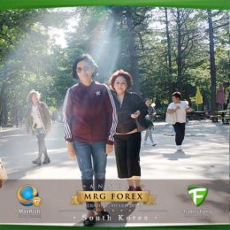 mrg-korea-41