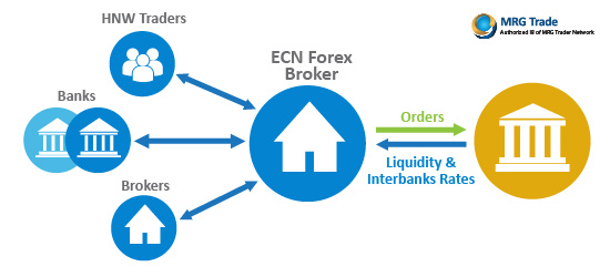 ECN Ilustrasi Broker STP